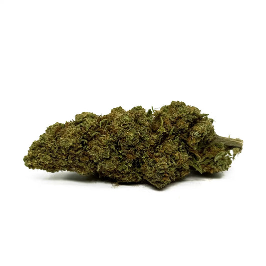 Orange Bud - vue 2
