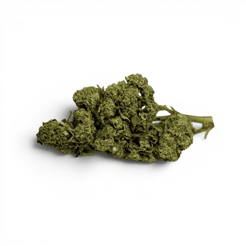 White Dawg - vue 3