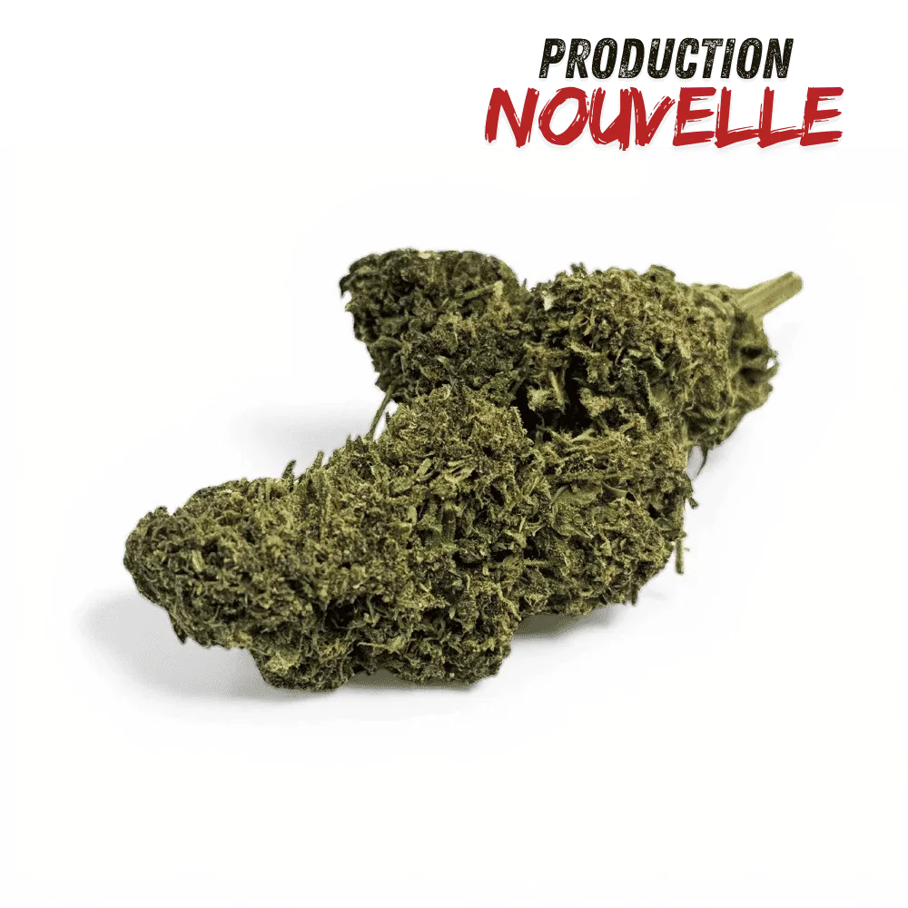 Fleur CBD Saphire Hybride Indoor