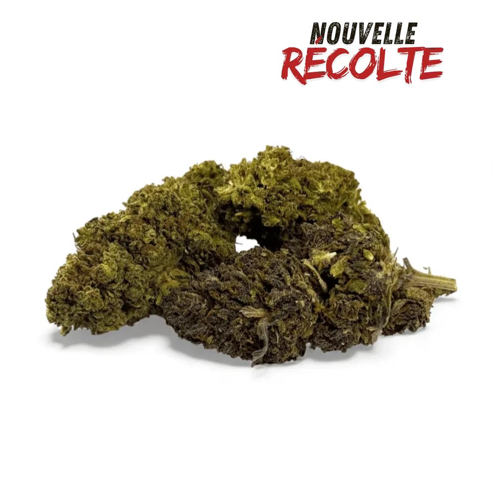 Fleur de CBD Mandarine Haze Greenhouse
