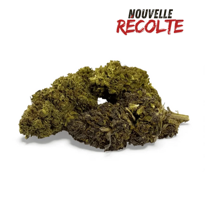 Fleur de CBD Mandarine Haze Greenhouse