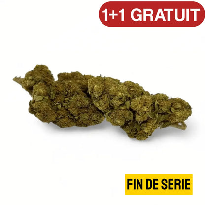 Fleur de CBD Strawberry Haze Greenhouse