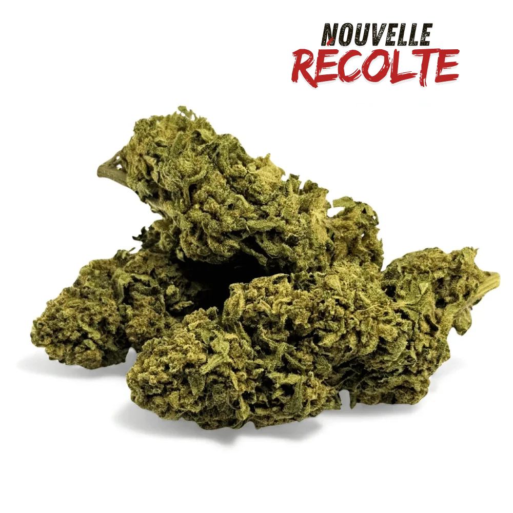 Fleur de CBD Banana Smash Greenhouse