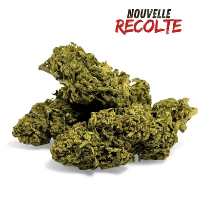 Fleur de CBD Banana Smash Greenhouse