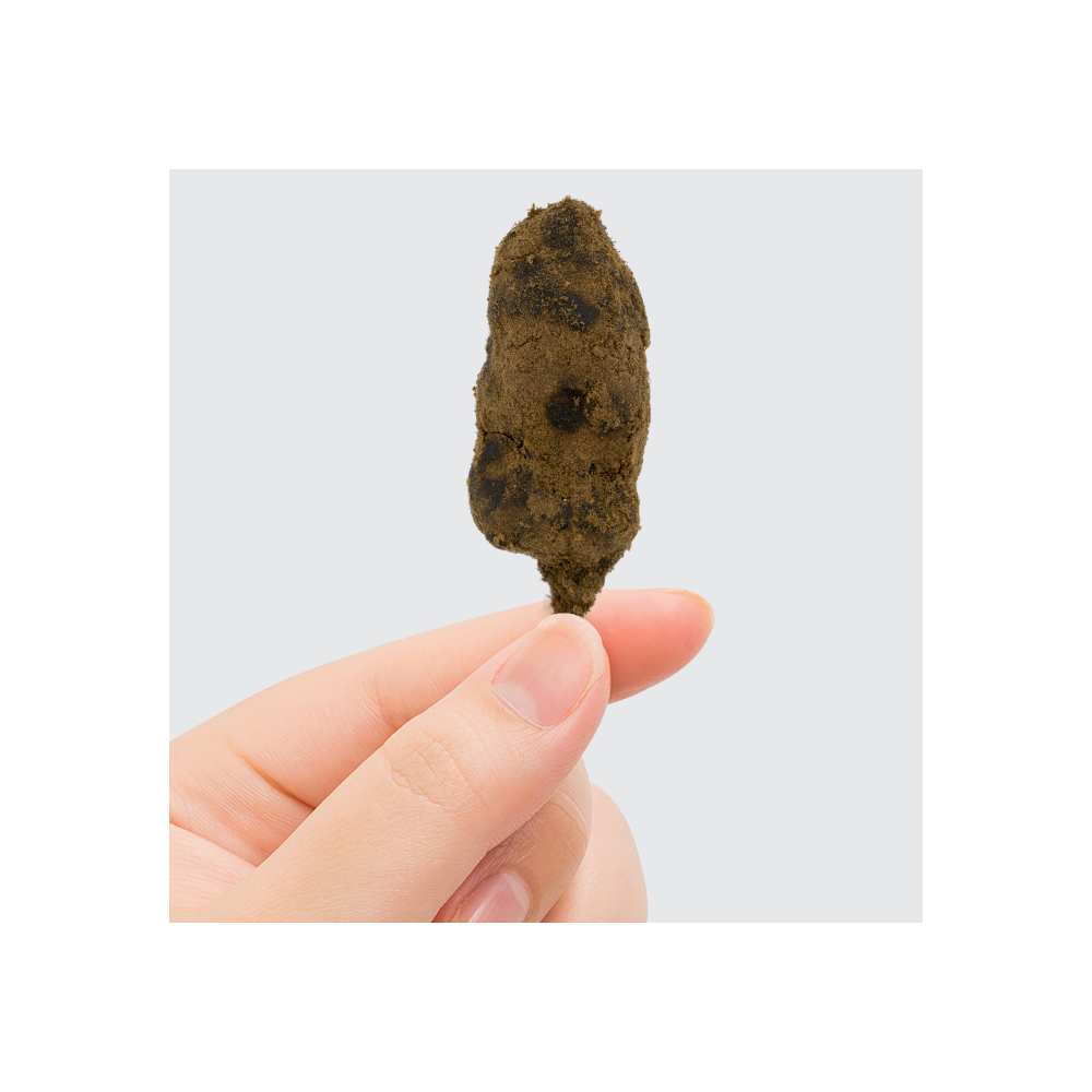 Moonrock - vue 2