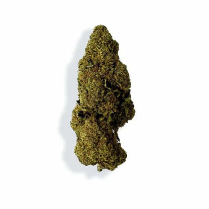 Raspberry Haze - vue 2
