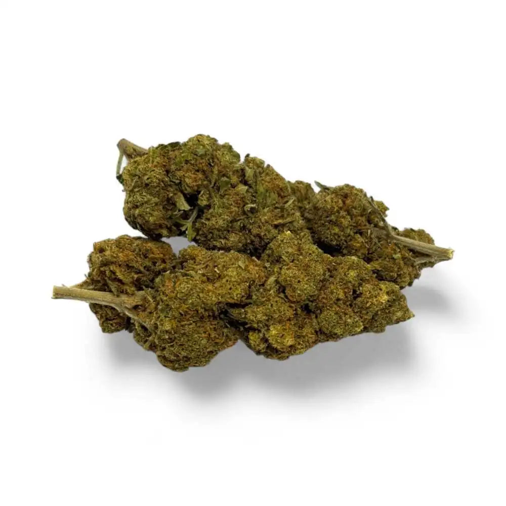 Critical+ - vue 2