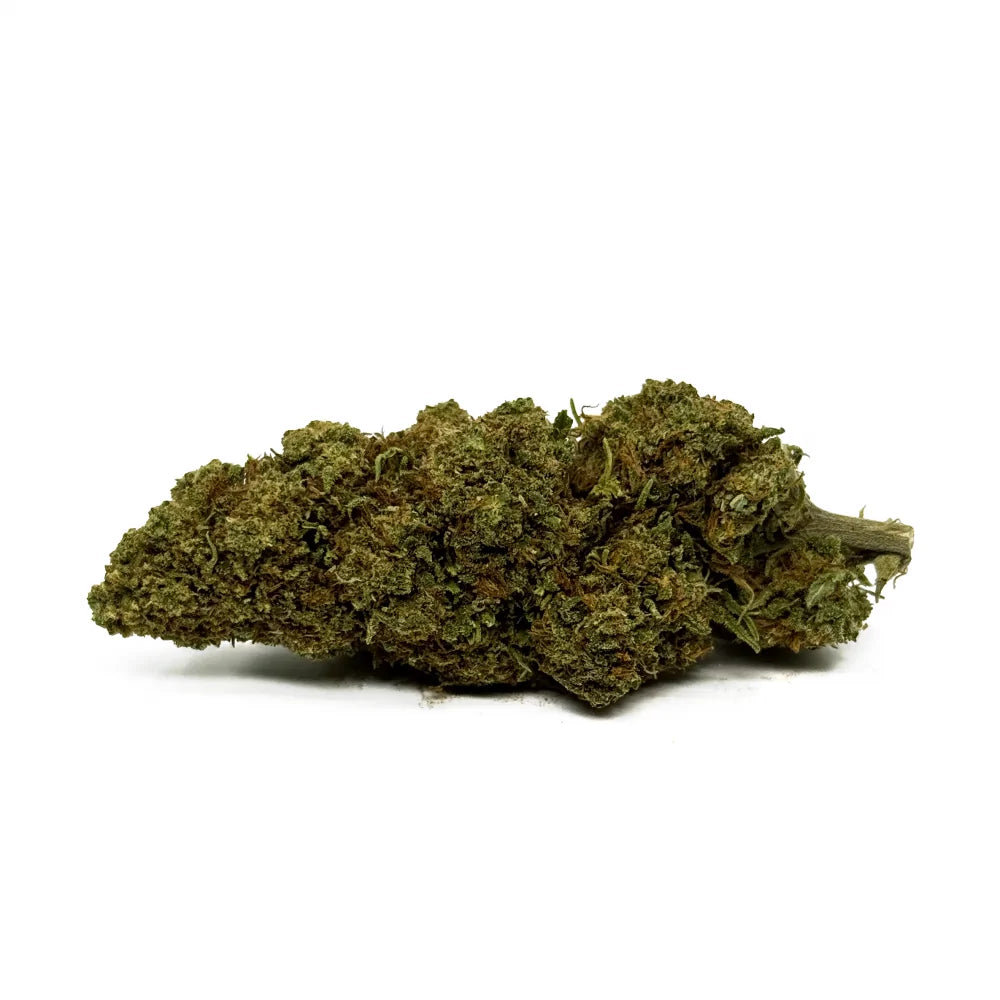 Orange Bud - vue 2