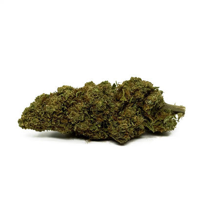 Orange Bud - vue 2