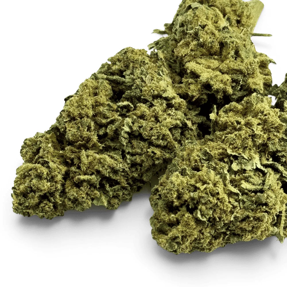 Fleur Super Silver Haze trichomes