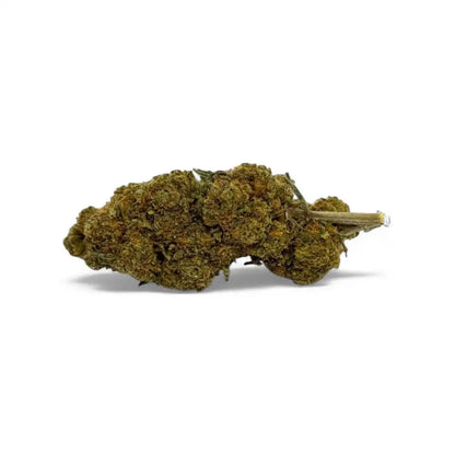 Critical+ - vue 3