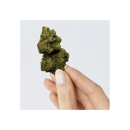 Rainbow Kush - vue 3