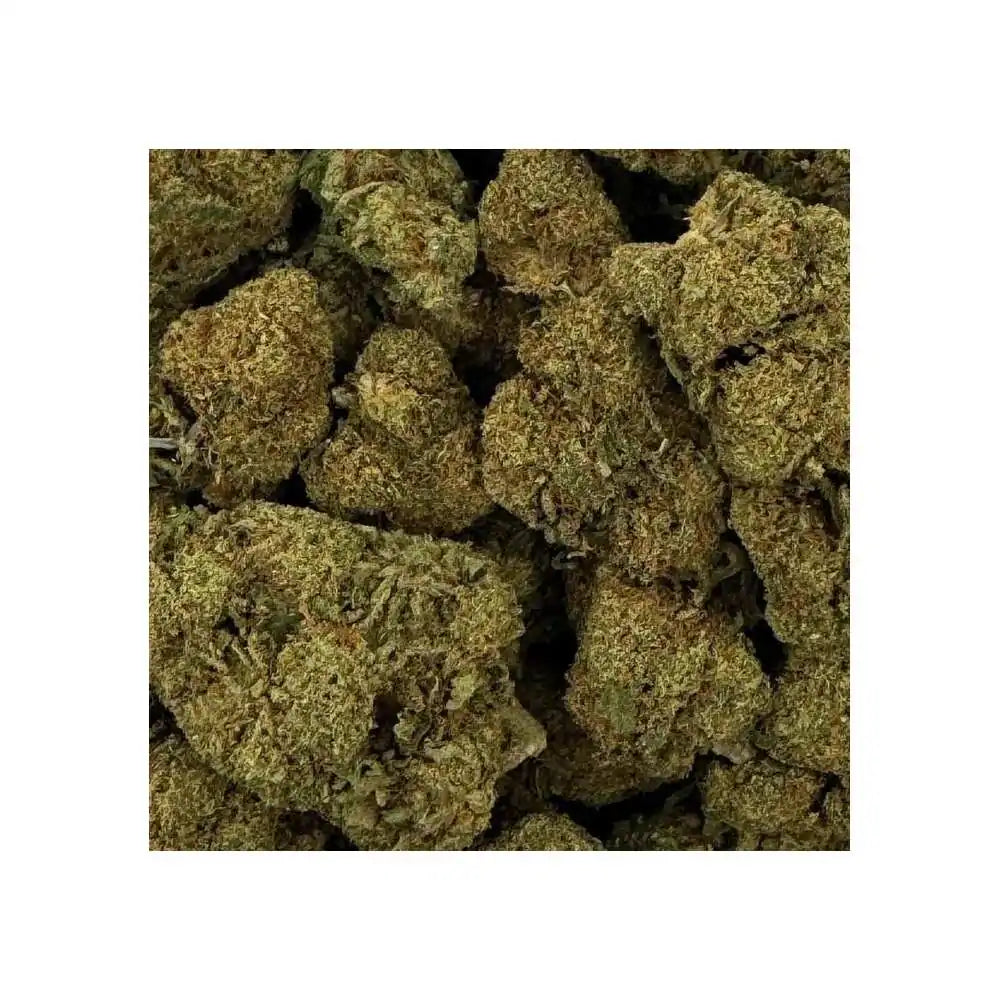 Raspberry Haze - vue 4