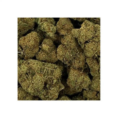 Raspberry Haze - vue 4