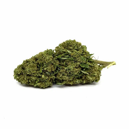 Gorilla Glue - vue 4