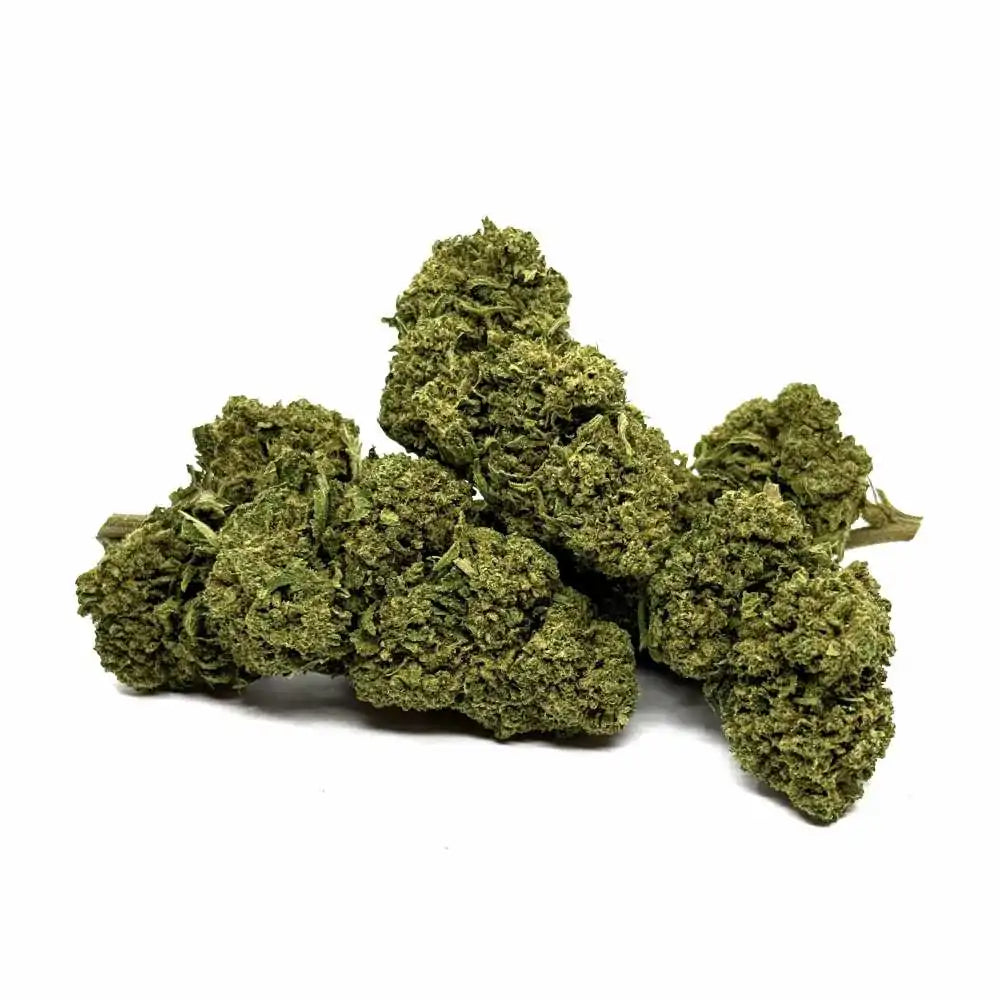 Gorilla Glue - vue 5